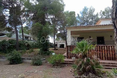 Landejendom i Ayora, Valencia, Ayora - € 186.000 | Ref: SF0459 - foto 35
